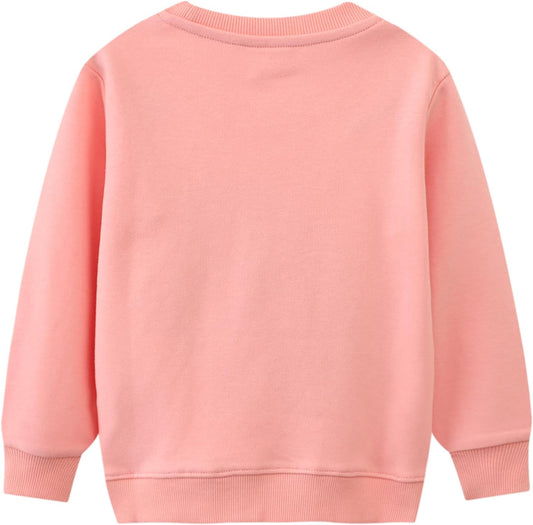 Toddler Girl Sweatshirt Clothes Outfit,Cotton Crewneck Christmas Clothing