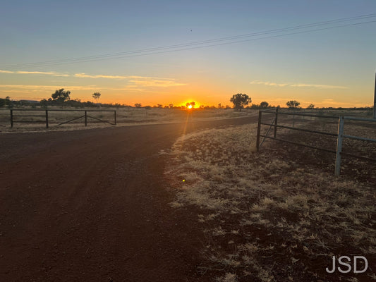 Sunrise over paddock